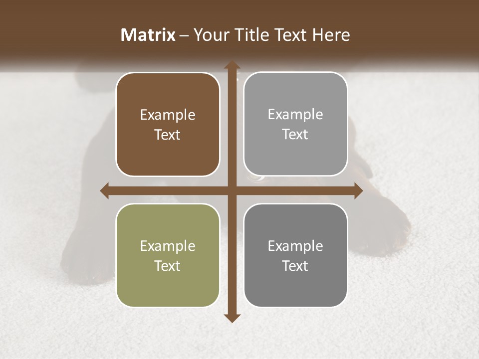 Inquisitive Indoors Fur PowerPoint Template