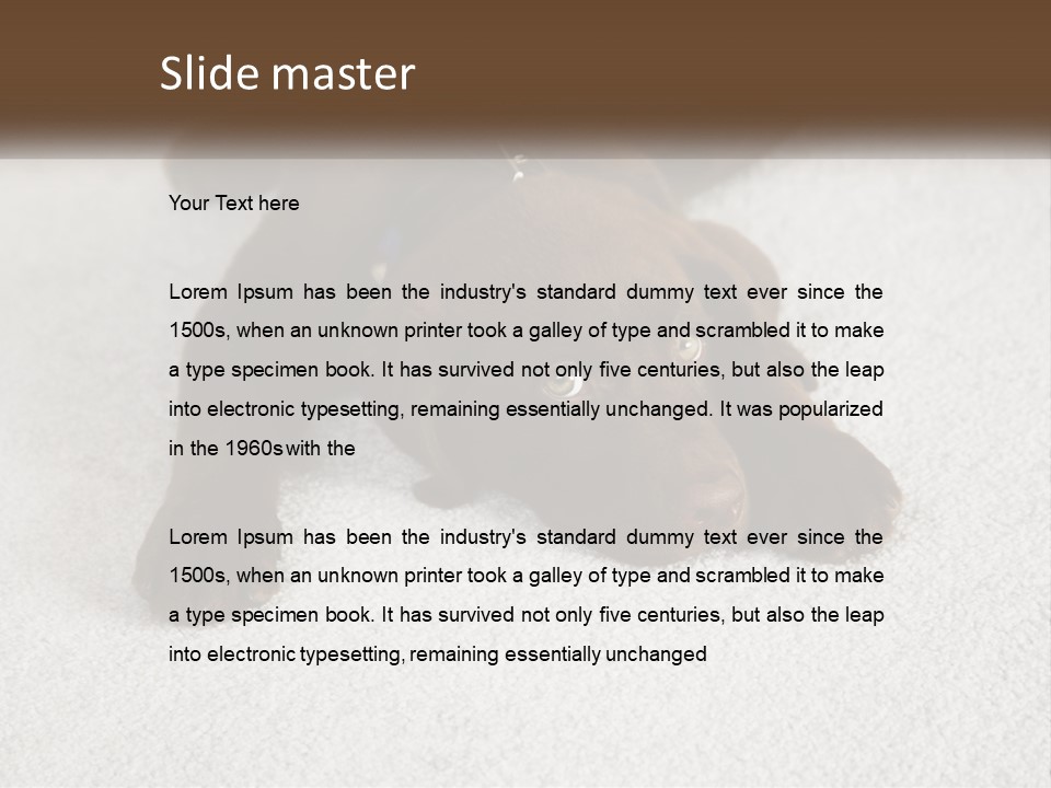 Inquisitive Indoors Fur PowerPoint Template