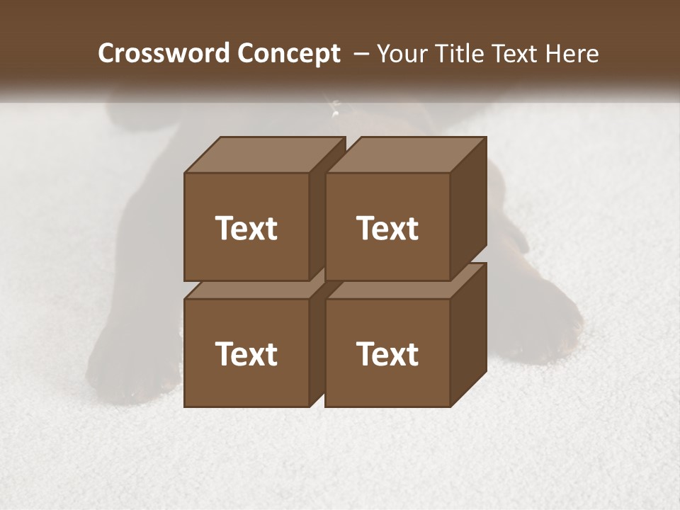 Inquisitive Indoors Fur PowerPoint Template
