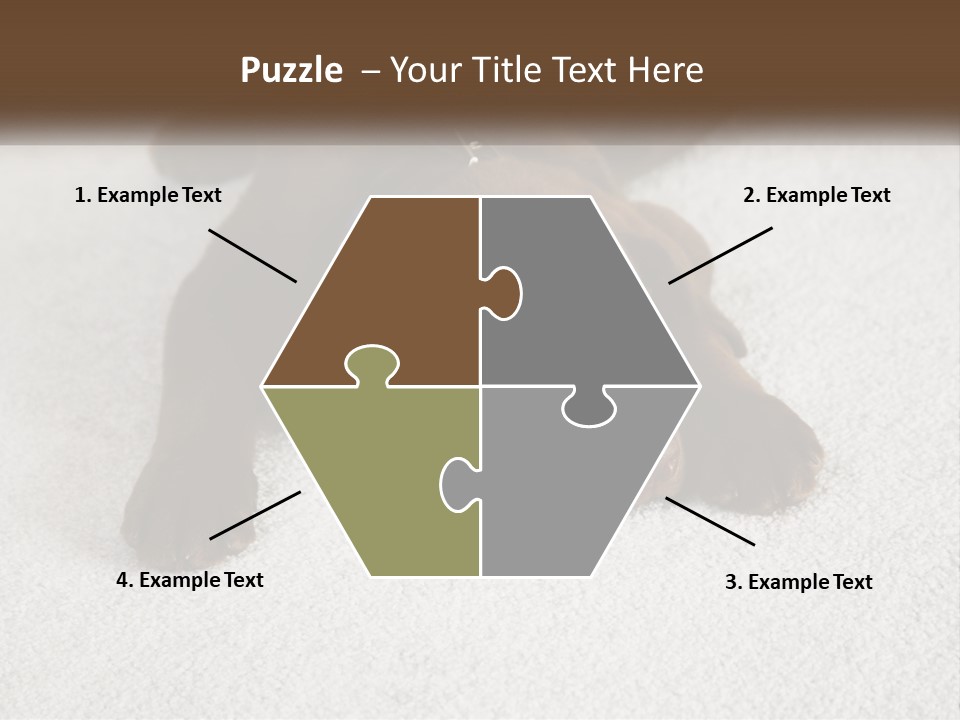 Inquisitive Indoors Fur PowerPoint Template