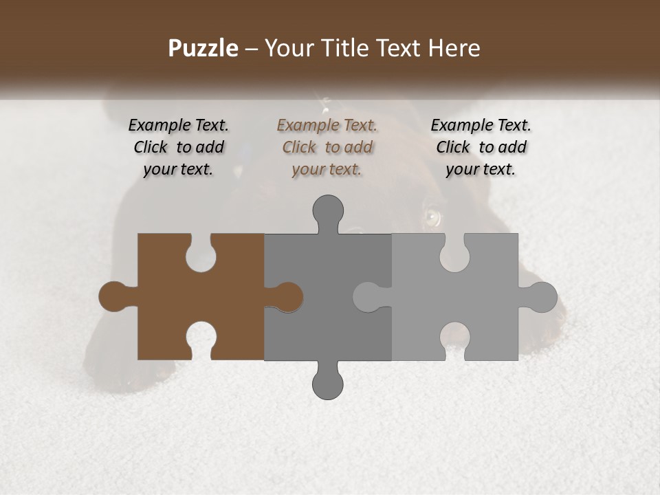 Inquisitive Indoors Fur PowerPoint Template