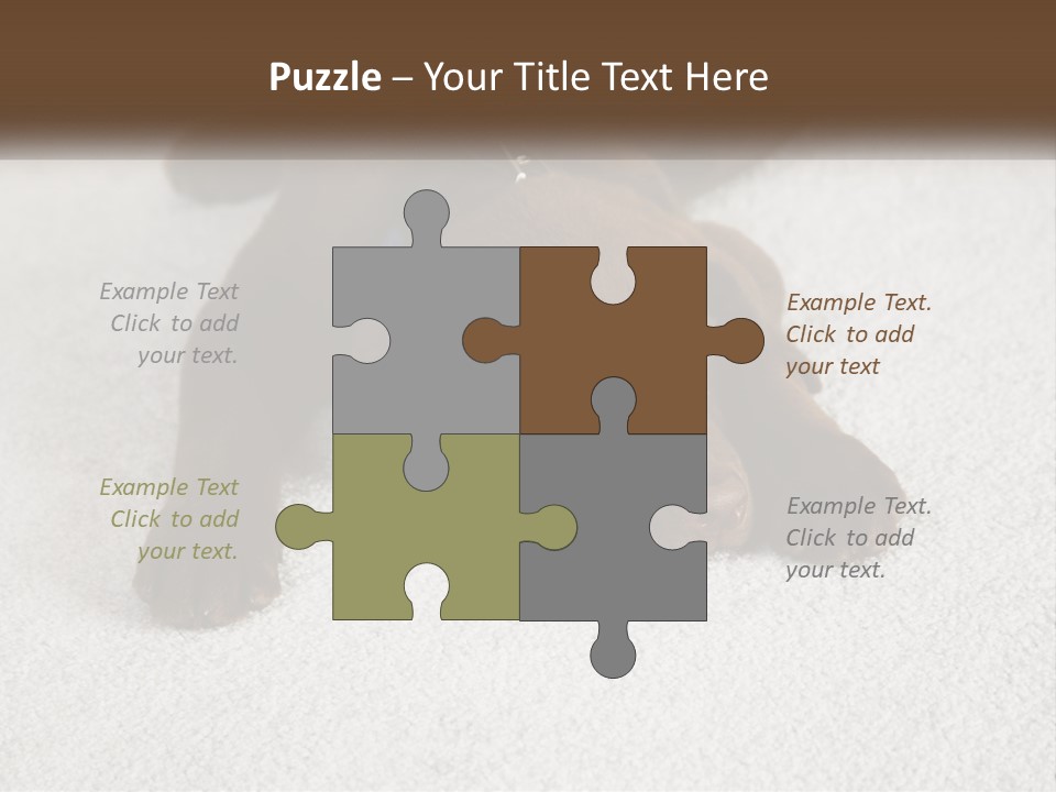 Inquisitive Indoors Fur PowerPoint Template