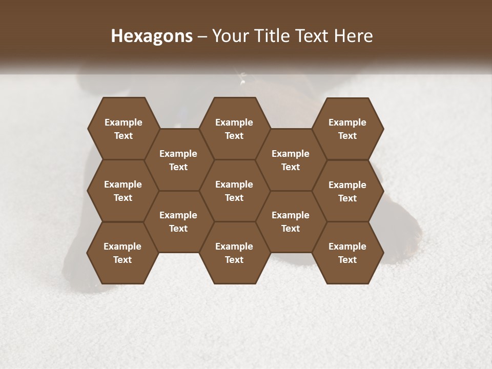 Inquisitive Indoors Fur PowerPoint Template