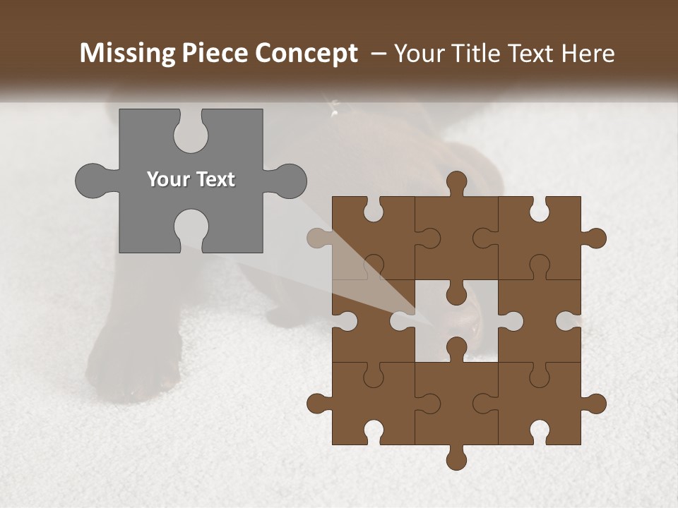 Inquisitive Indoors Fur PowerPoint Template