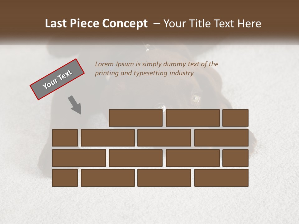 Inquisitive Indoors Fur PowerPoint Template