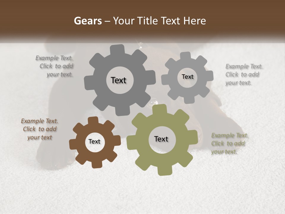 Inquisitive Indoors Fur PowerPoint Template