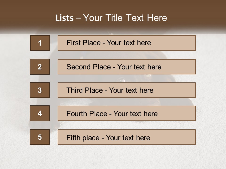Inquisitive Indoors Fur PowerPoint Template