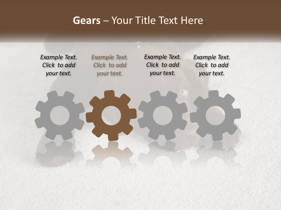 Inquisitive Indoors Fur PowerPoint Template