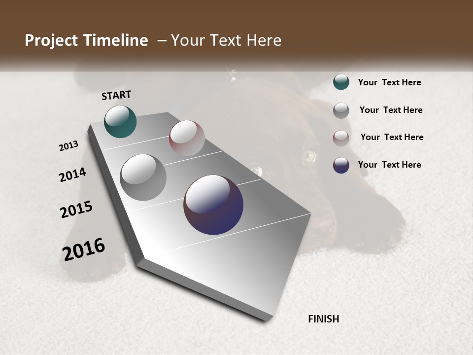 Inquisitive Indoors Fur PowerPoint Template