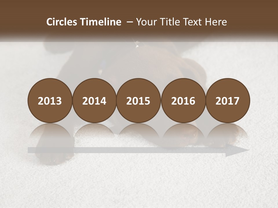 Inquisitive Indoors Fur PowerPoint Template