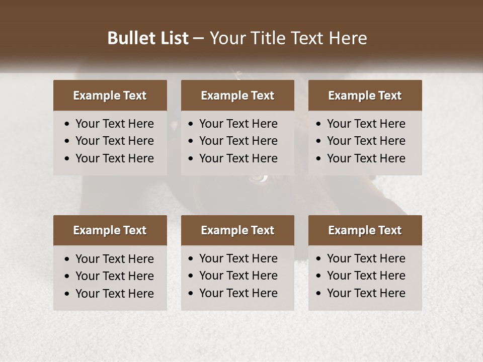 Inquisitive Indoors Fur PowerPoint Template