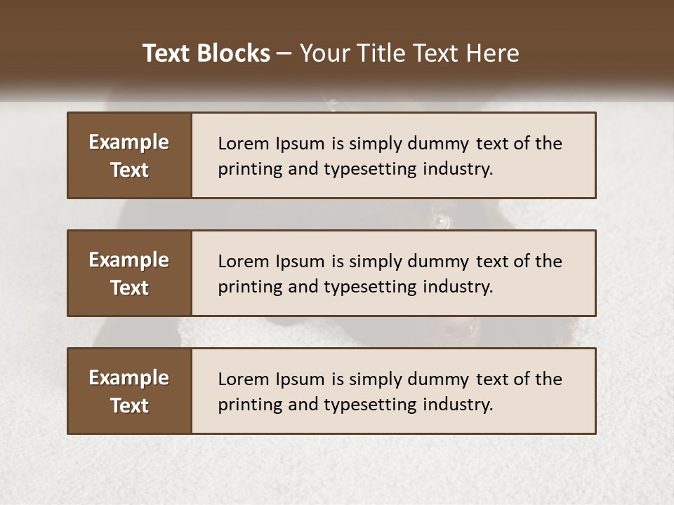 Inquisitive Indoors Fur PowerPoint Template