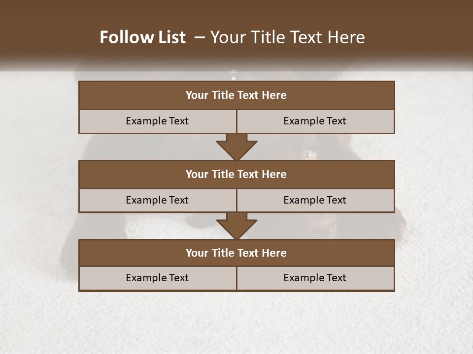 Inquisitive Indoors Fur PowerPoint Template