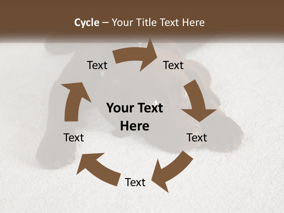 Inquisitive Indoors Fur PowerPoint Template