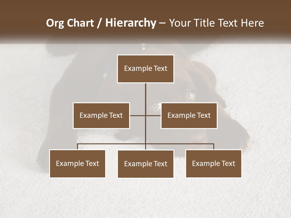 Inquisitive Indoors Fur PowerPoint Template