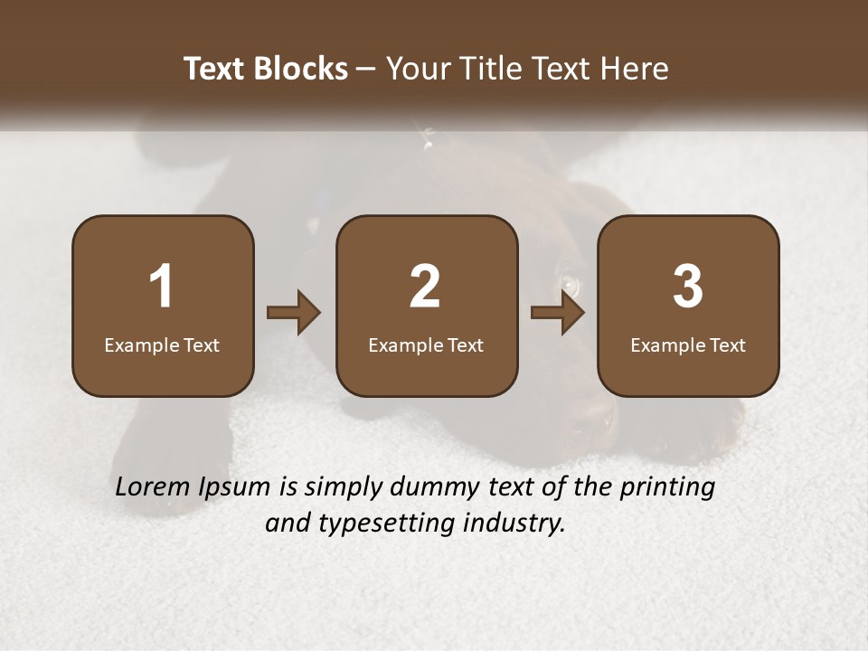 Inquisitive Indoors Fur PowerPoint Template