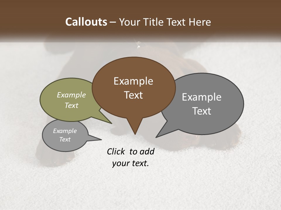 Inquisitive Indoors Fur PowerPoint Template