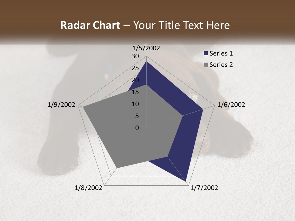 Inquisitive Indoors Fur PowerPoint Template