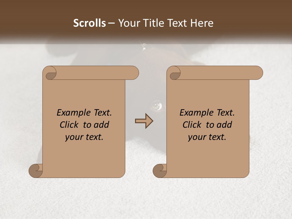 Inquisitive Indoors Fur PowerPoint Template