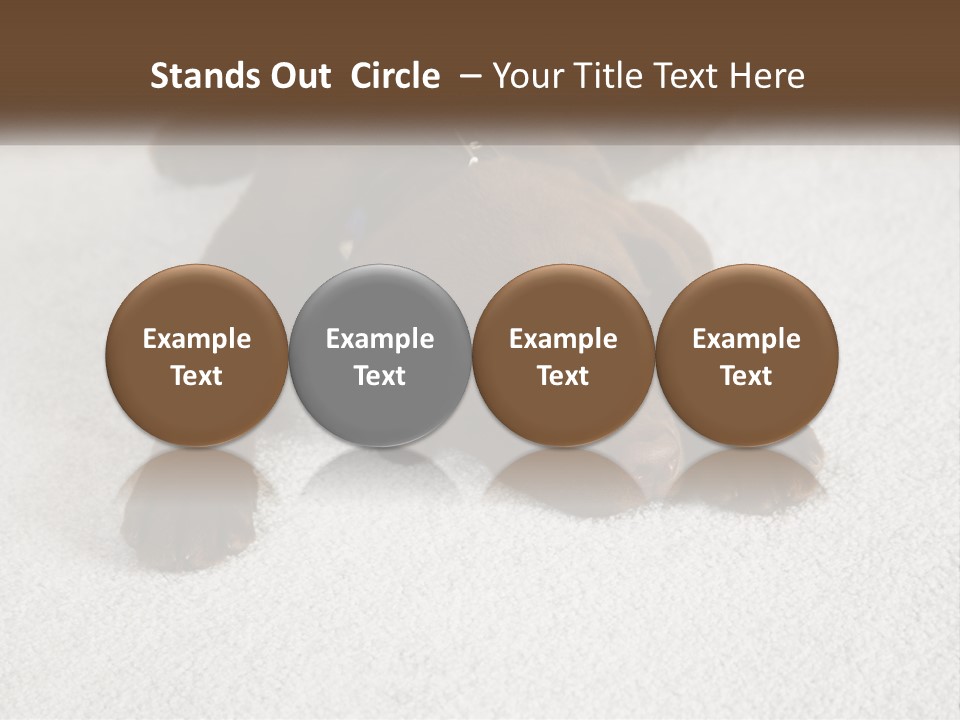 Inquisitive Indoors Fur PowerPoint Template