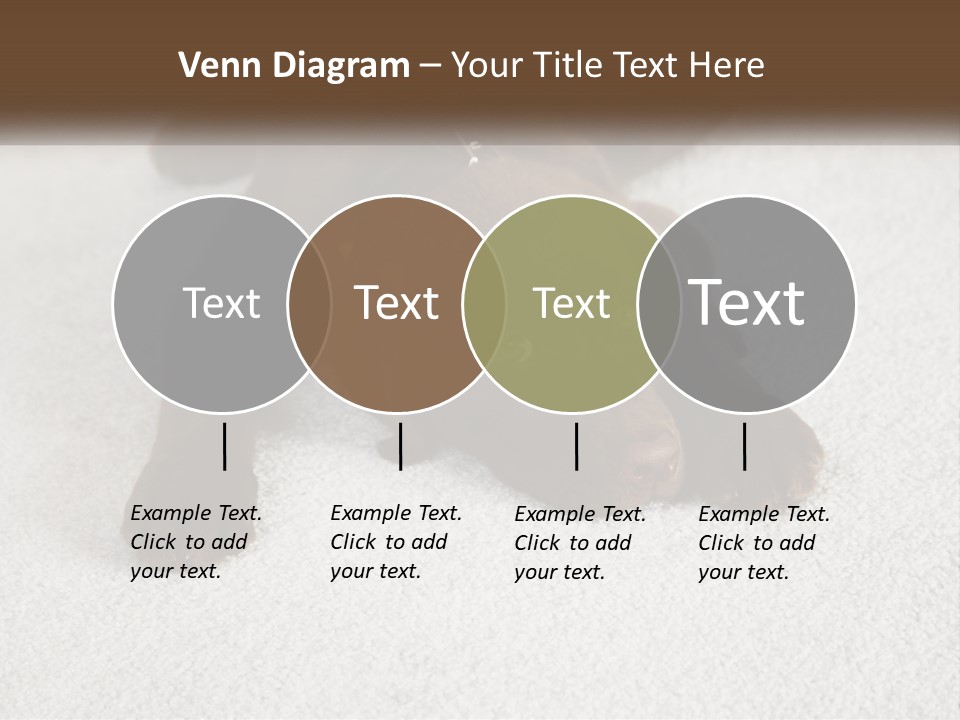 Inquisitive Indoors Fur PowerPoint Template