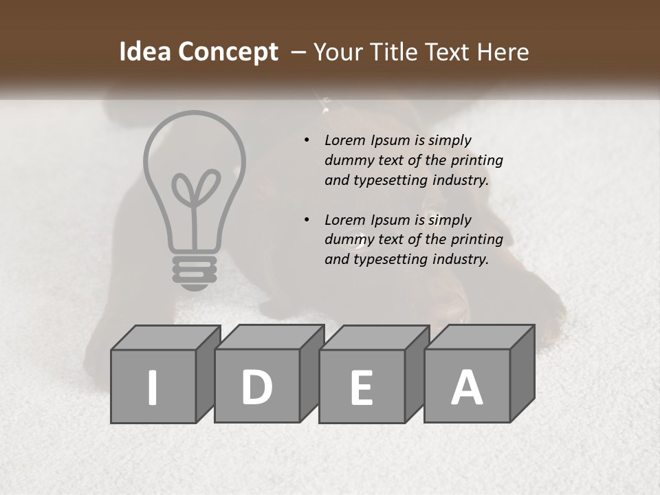 Inquisitive Indoors Fur PowerPoint Template