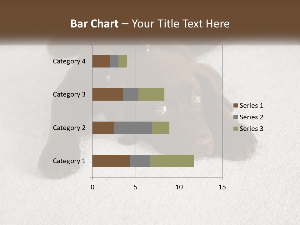 Inquisitive Indoors Fur PowerPoint Template