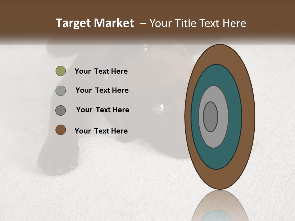 Inquisitive Indoors Fur PowerPoint Template