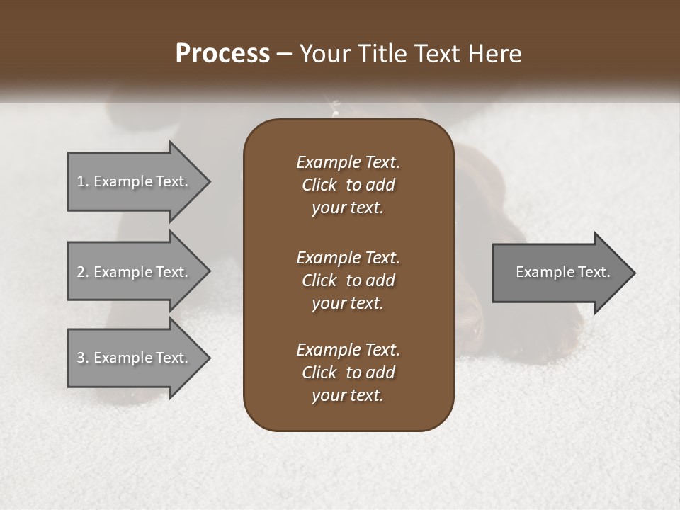 Inquisitive Indoors Fur PowerPoint Template