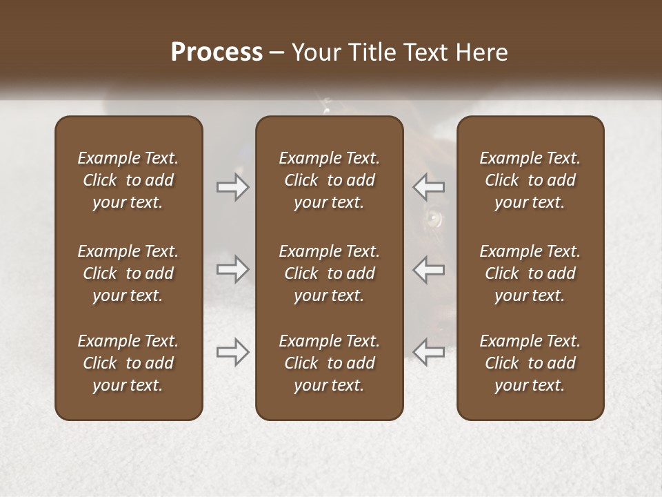 Inquisitive Indoors Fur PowerPoint Template