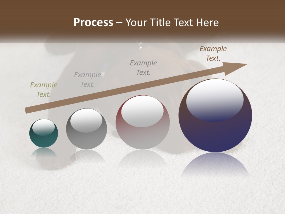 Inquisitive Indoors Fur PowerPoint Template