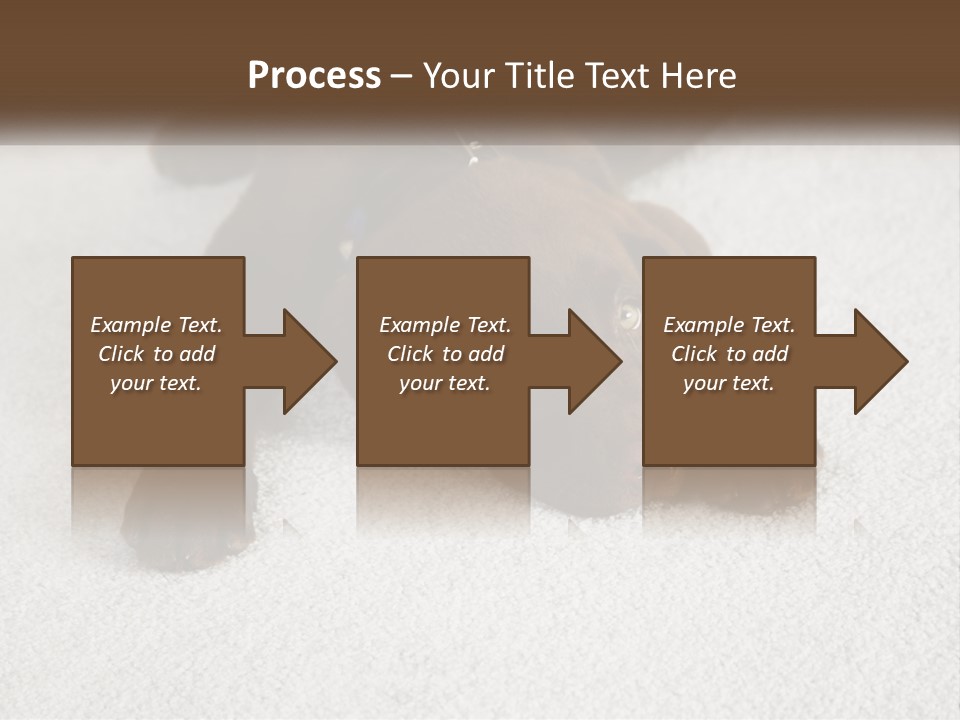 Inquisitive Indoors Fur PowerPoint Template