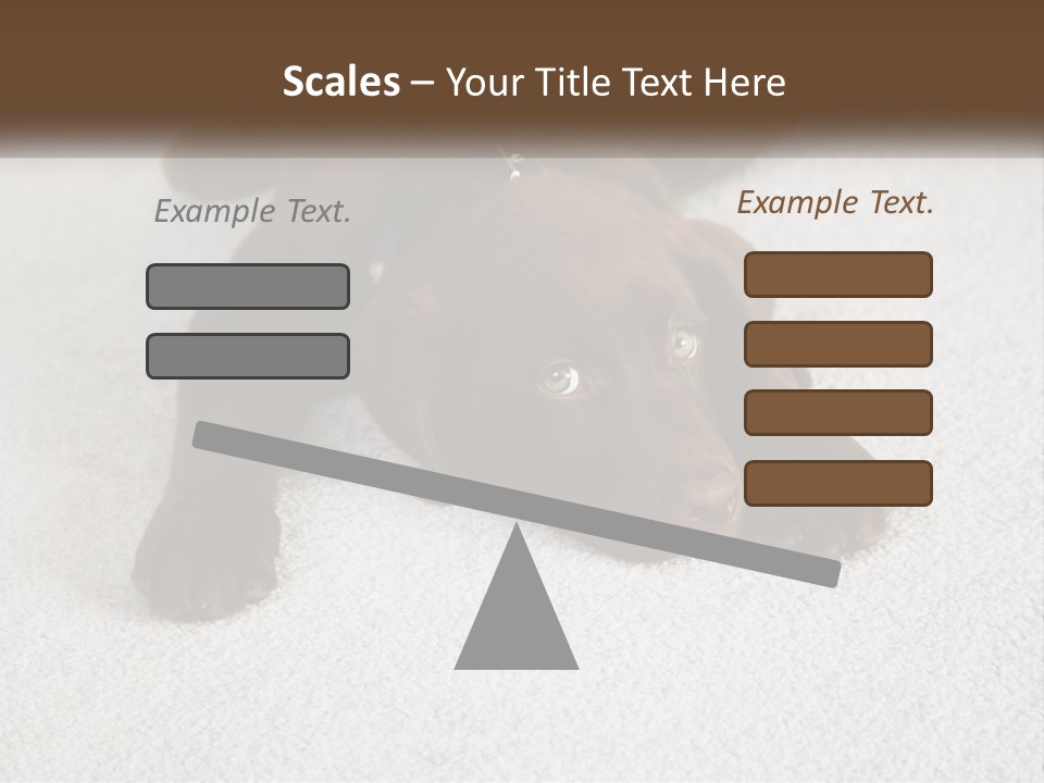 Inquisitive Indoors Fur PowerPoint Template