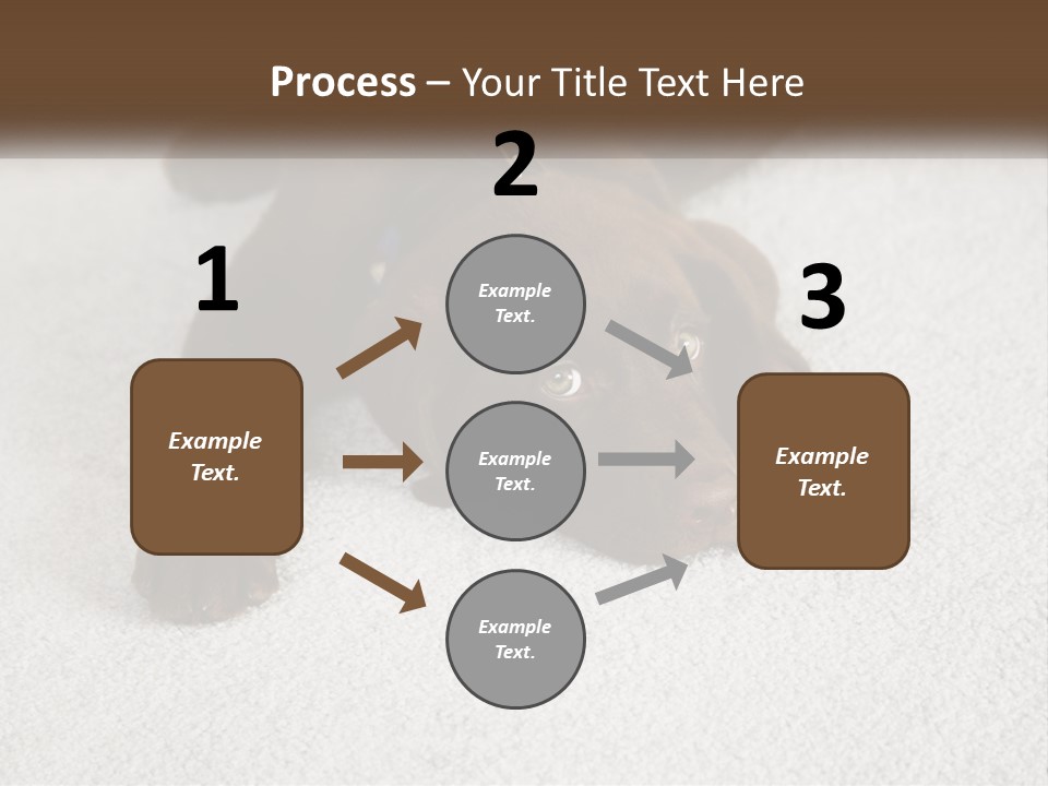 Inquisitive Indoors Fur PowerPoint Template