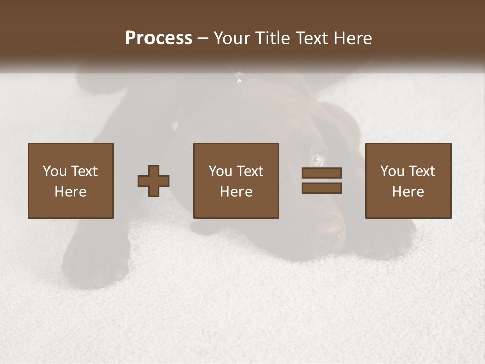 Inquisitive Indoors Fur PowerPoint Template