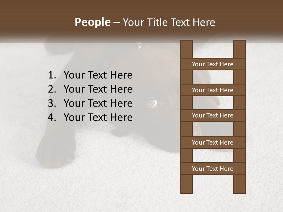 Inquisitive Indoors Fur PowerPoint Template