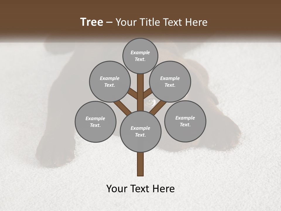 Inquisitive Indoors Fur PowerPoint Template