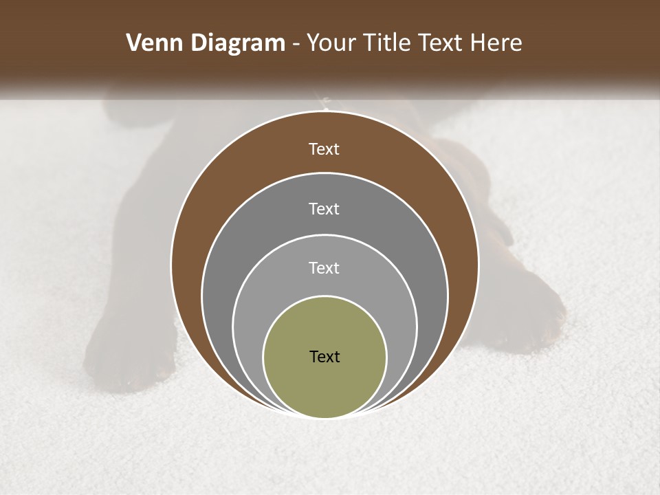 Inquisitive Indoors Fur PowerPoint Template