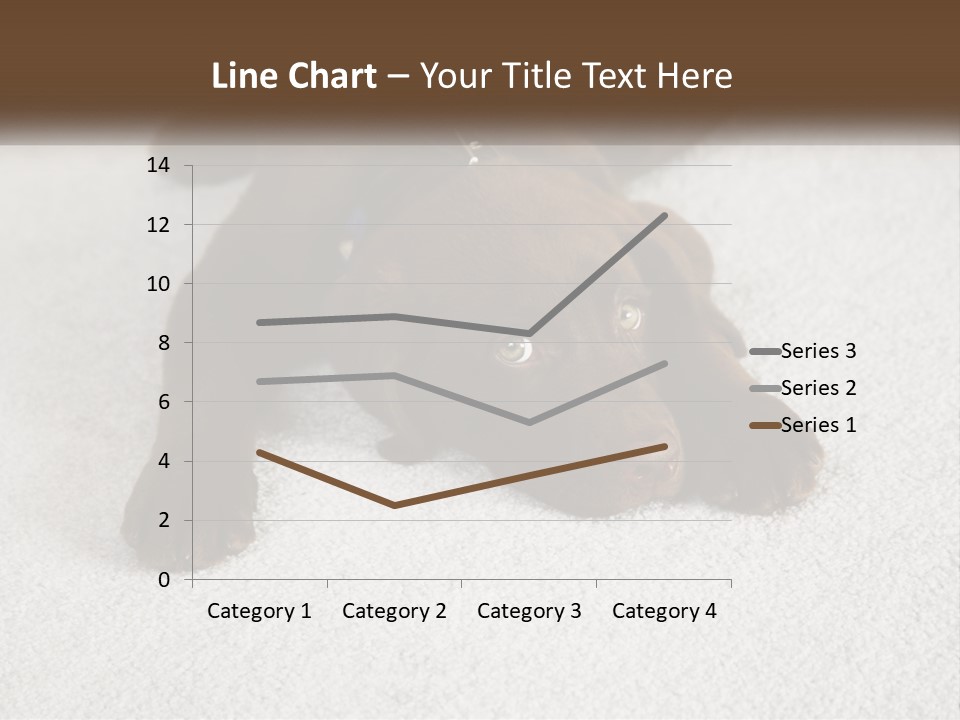 Inquisitive Indoors Fur PowerPoint Template