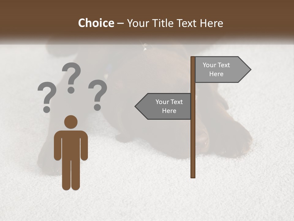 Inquisitive Indoors Fur PowerPoint Template