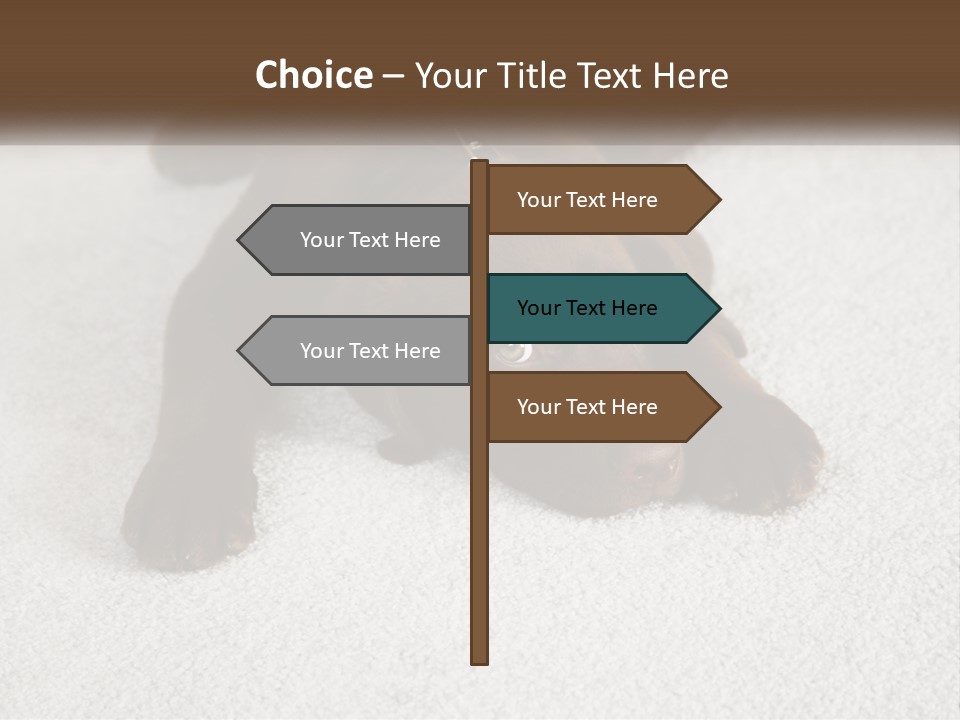 Inquisitive Indoors Fur PowerPoint Template