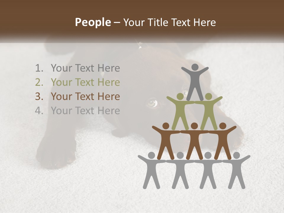 Inquisitive Indoors Fur PowerPoint Template