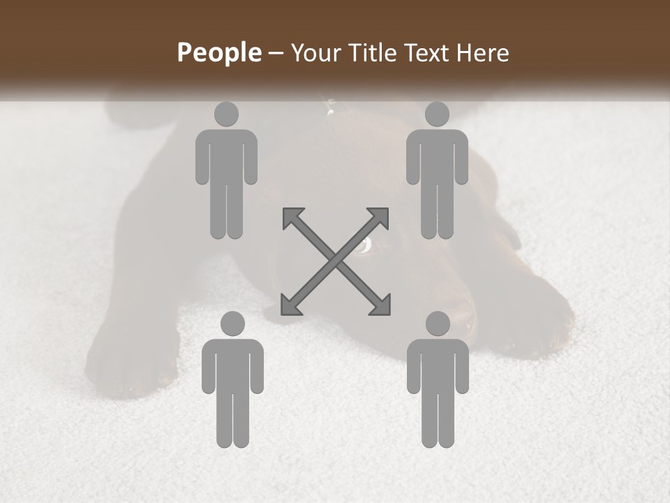 Inquisitive Indoors Fur PowerPoint Template