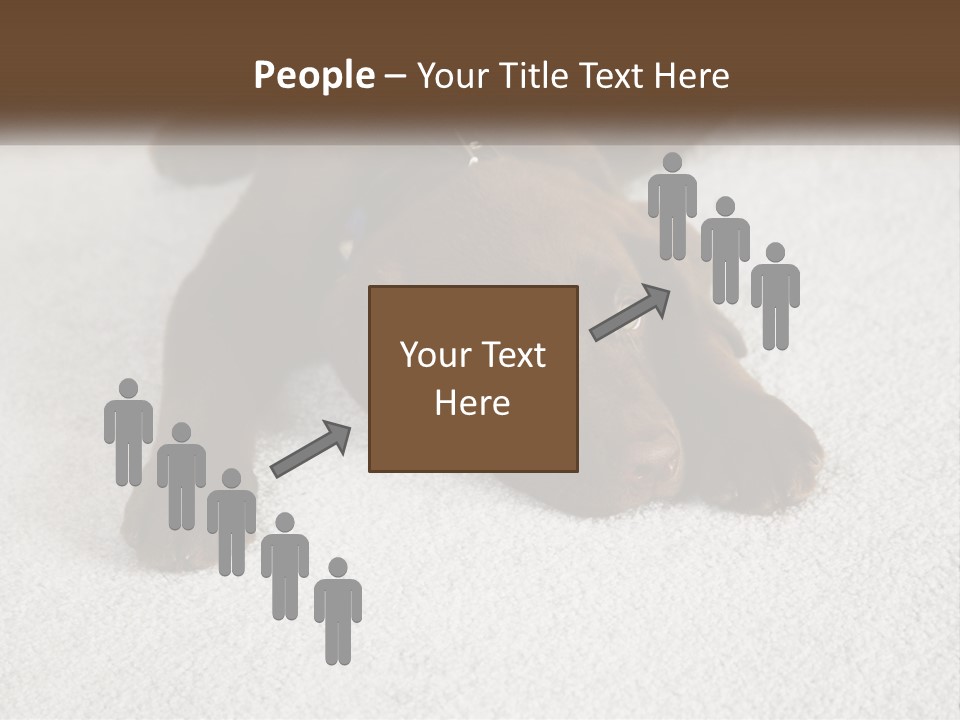 Inquisitive Indoors Fur PowerPoint Template