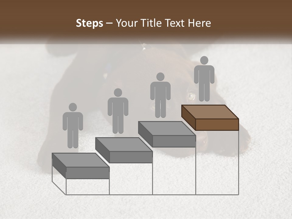 Inquisitive Indoors Fur PowerPoint Template