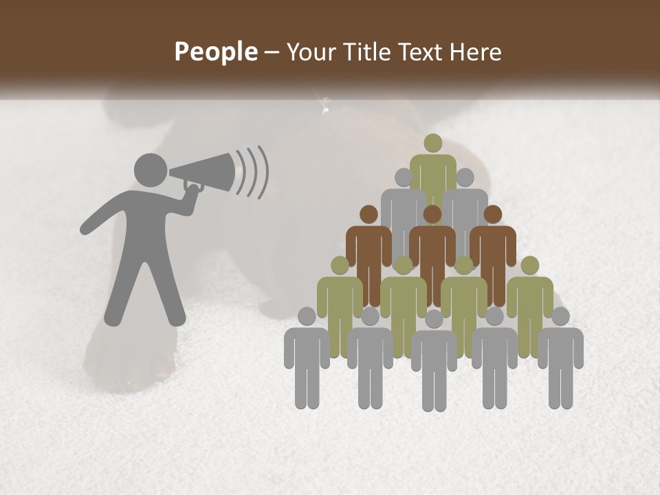 Inquisitive Indoors Fur PowerPoint Template