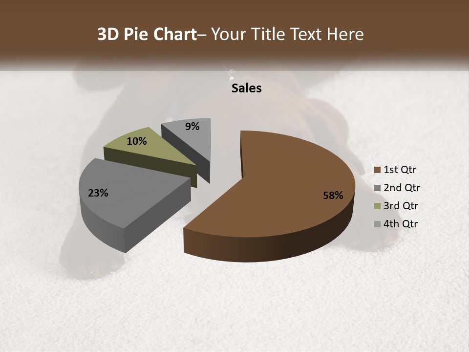 Inquisitive Indoors Fur PowerPoint Template