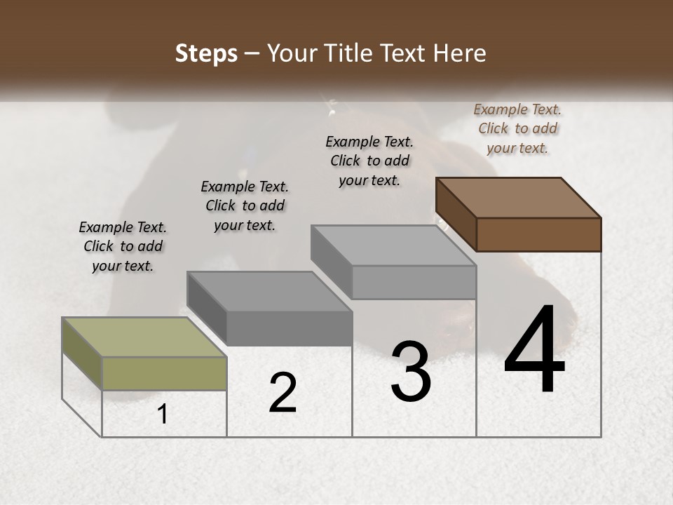 Inquisitive Indoors Fur PowerPoint Template