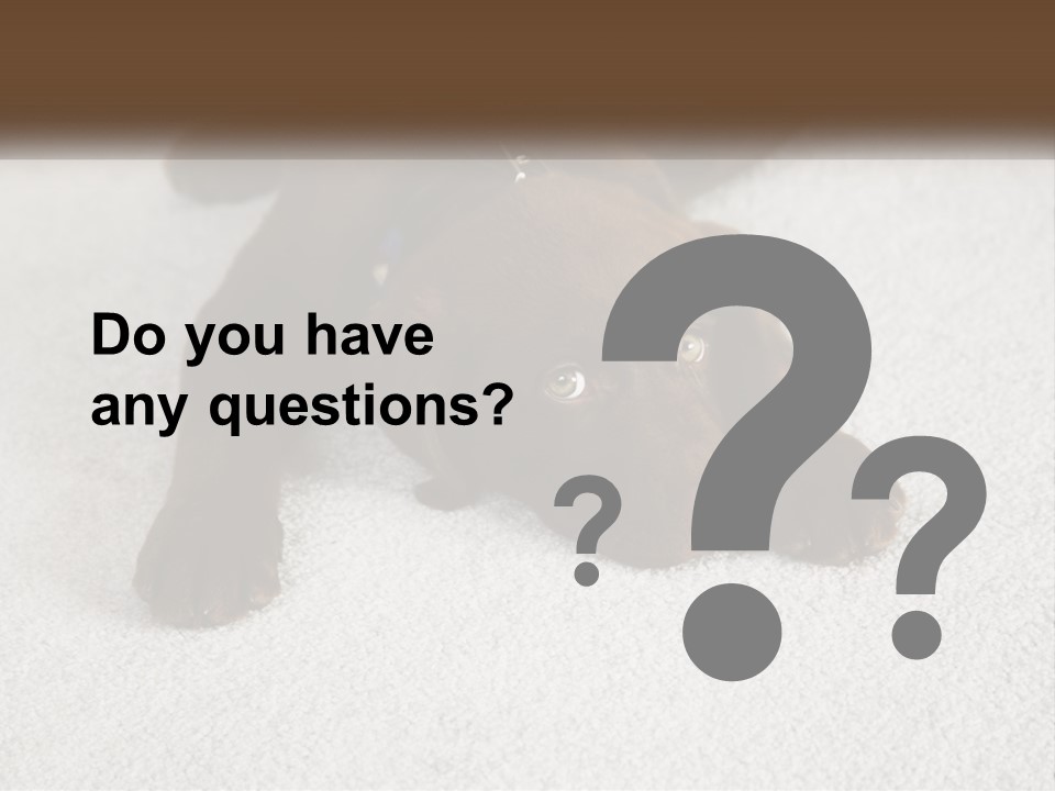 Inquisitive Indoors Fur PowerPoint Template