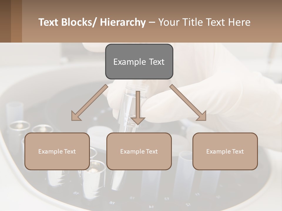 Test Biomedical Medicine PowerPoint Template